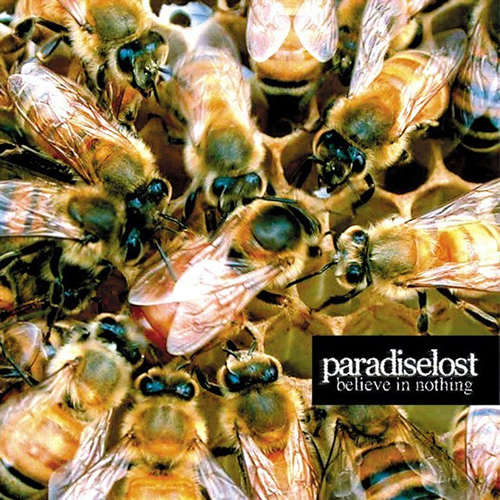 Believe in Nothing cover artwork